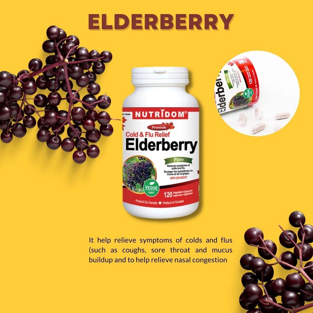 (3팩세트) 뉴트리돔 엘더베리 콜드&플루 Elderberry 120캡슐 N244 - 상세 이미지 4
