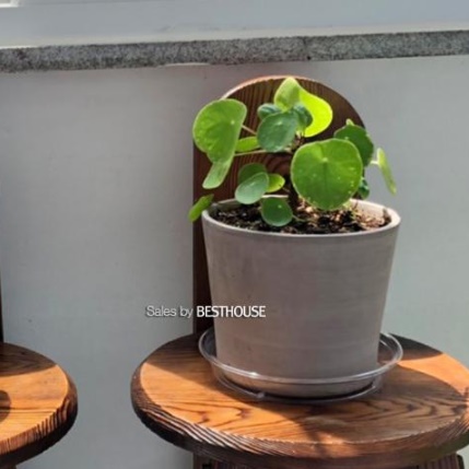 플라스틱 화분 받침대 투명 화분 받침 화분 물 빠짐 15cm - 상세 이미지 4