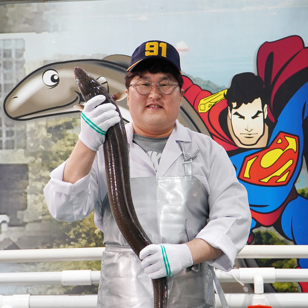 통영 바다장어 1KG 손질후 750G내외 자연산 붕장어 아나고