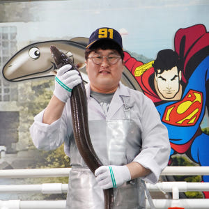 통영 바다장어 1KG 손질후 700G내외 자연산 붕장어 아나고 맛있게 먹은 솔직 후기 - 상품 이미지 1