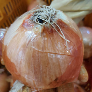 순수양파즙 15-50포 황토양파즙 맛있게 먹은 솔직 후기 - 상품 이미지 1