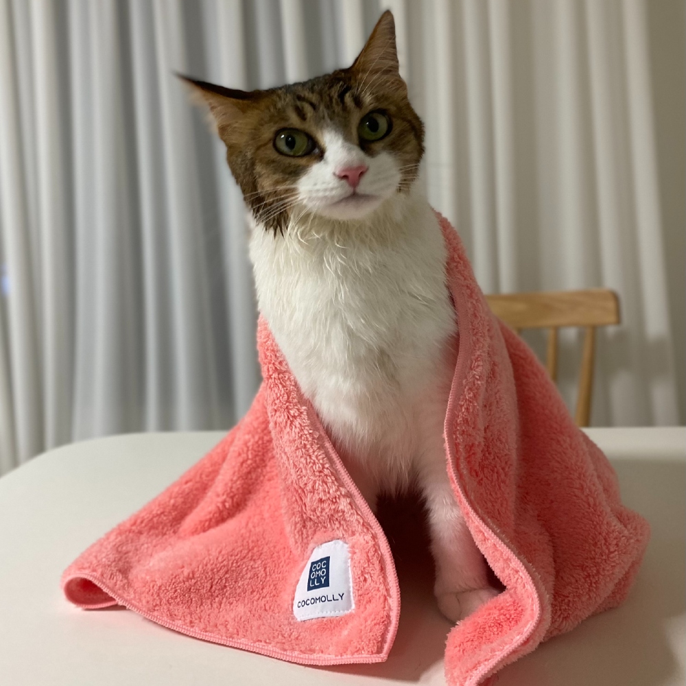 코코몰리 초극세사 프리미엄 펫 타올 드라이룸 강아지 고양이 수건 목욕 용품 타월 가운 - 상세 이미지 3
