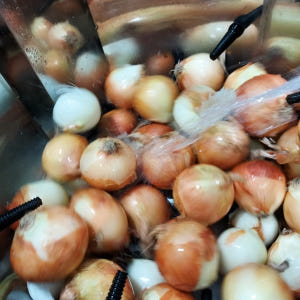 순수양파즙 15-50포 황토양파즙 맛있게 먹은 솔직 후기 - 상품 이미지 2