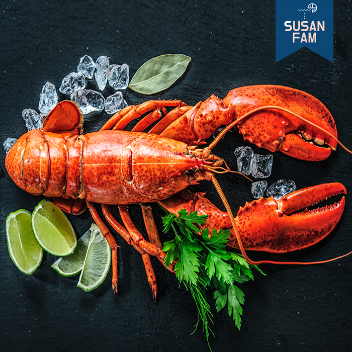 프리미엄 캐나다 랍스타 1마리 자숙랍스터 (실중량 350g 이상부터) - 상세 이미지 3