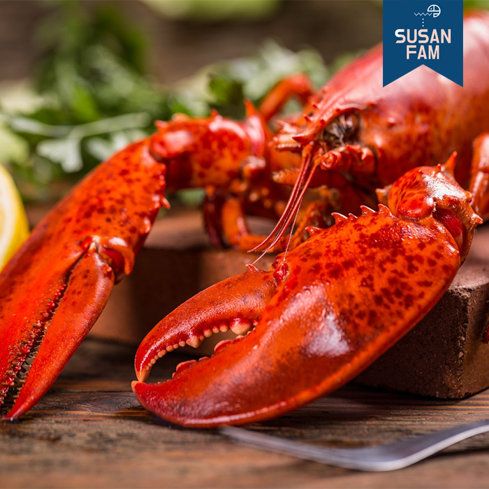 프리미엄 캐나다 랍스타 1마리 자숙랍스터 (실중량 350g 이상부터) - 상세 이미지 2