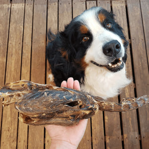 애견 통오리뼈 대형견간식 수제 강아지뼈간식 오리목뼈 솔직 후기 | 실제 사용자 리뷰 총정리 - 상품 이미지 3