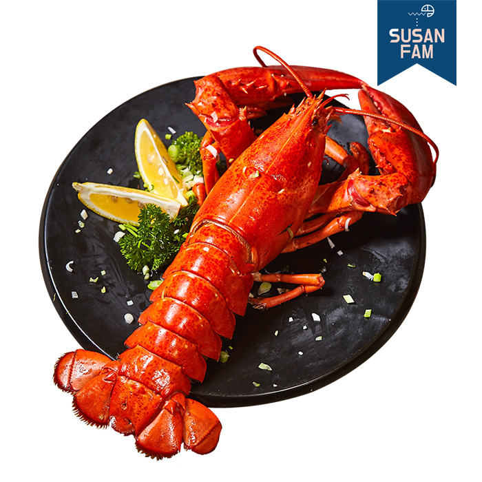 프리미엄 캐나다 랍스타 1마리 자숙랍스터 (실중량 350g 이상부터) - 상세 이미지 4