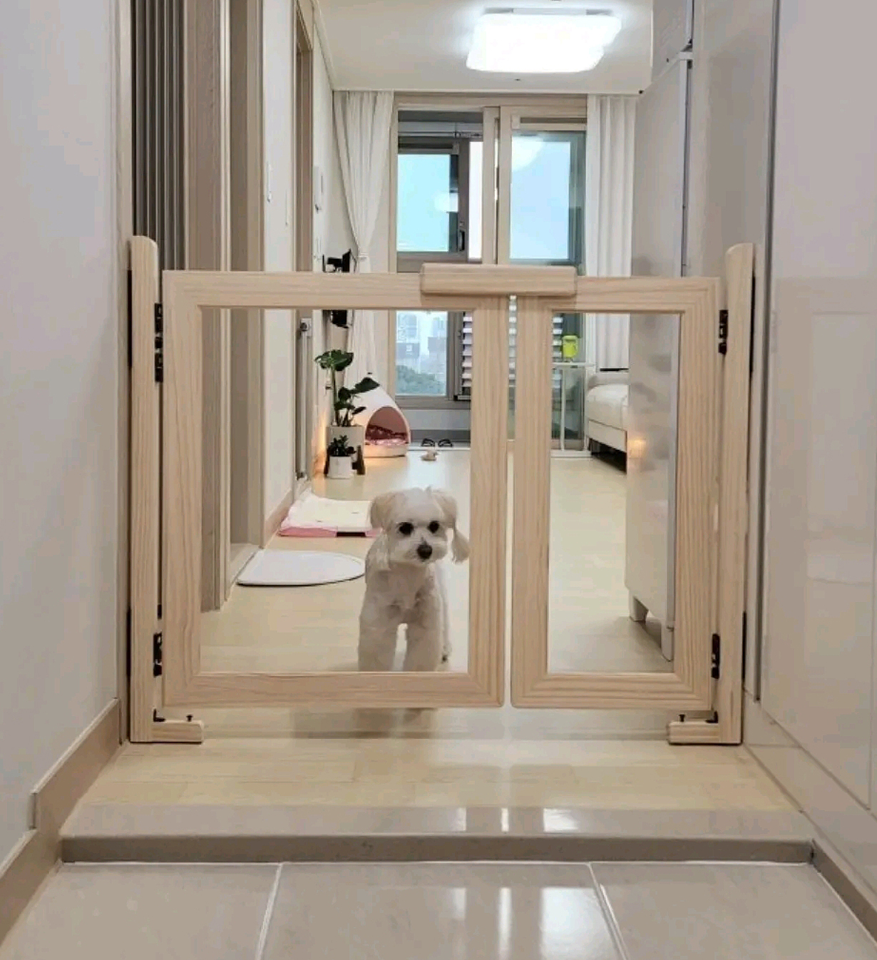 원목 강아지안전문 강아지울타리 제작 800사이즈