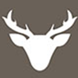 톰디어 스토어 로고