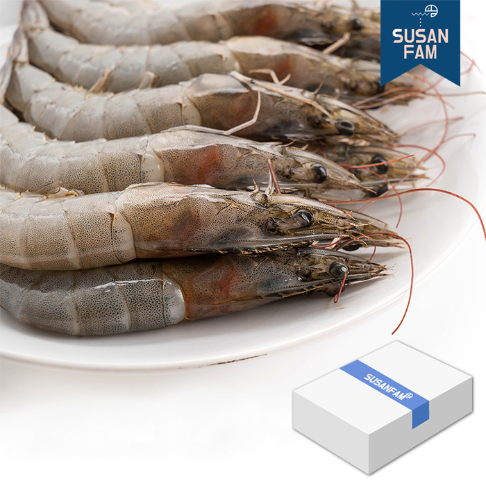 흰다리새우 12kg(2kgX6팩) 박스 냉동새우 대하 페루산