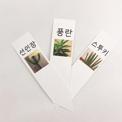 아이태그 비점착 라벨지 A4 10장 식물라벨 식물이름표 수목명찰 수목표찰 규격묘의품질표시 원예용퓸 TLT0041WP - 상세 이미지 3