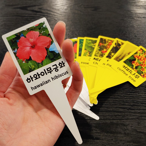 아이태그 비점착 라벨지 A4 10장 식물라벨 식물이름표 수목명찰 수목표찰 규격묘의품질표시 원예용퓸 TLT0041WP - 상세 이미지 2