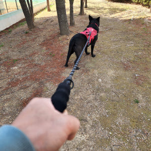 강아지리드줄 애견 대형견 산책줄 일체형 리드줄 목줄 1.5m 솔직 후기 | 실제 사용자 리뷰 총정리 - 상품 이미지 4