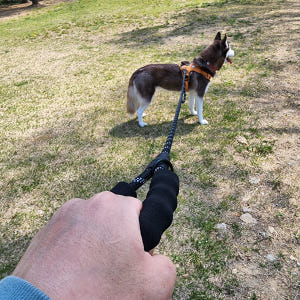 강아지리드줄 애견 대형견 산책줄 일체형 리드줄 목줄 1.5m 솔직 후기 | 실제 사용자 리뷰 총정리 - 상품 이미지 3