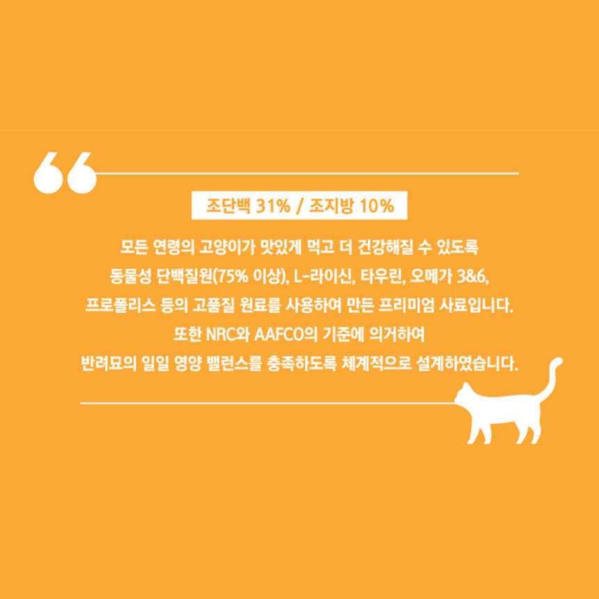고양이 사료 대용량 캐츠랑 Libre 5kg x2개 10kg 길냥이 길고양이 아기 사료 사진 4