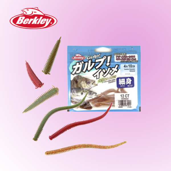버클리 걸프 샌드웜 2인치 미드백 갯지렁이웜 미드백 범용 볼락 우럭 갈치 전갱이 줄치 청개비 C - 상세 이미지 2