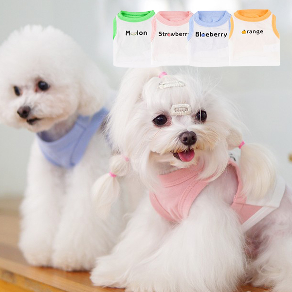과일 강아지옷 고양이 봄옷 여름 사계절 외출 매쉬 나시티 민소매 티셔츠 쿨링 애견옷 - 메인 이미지