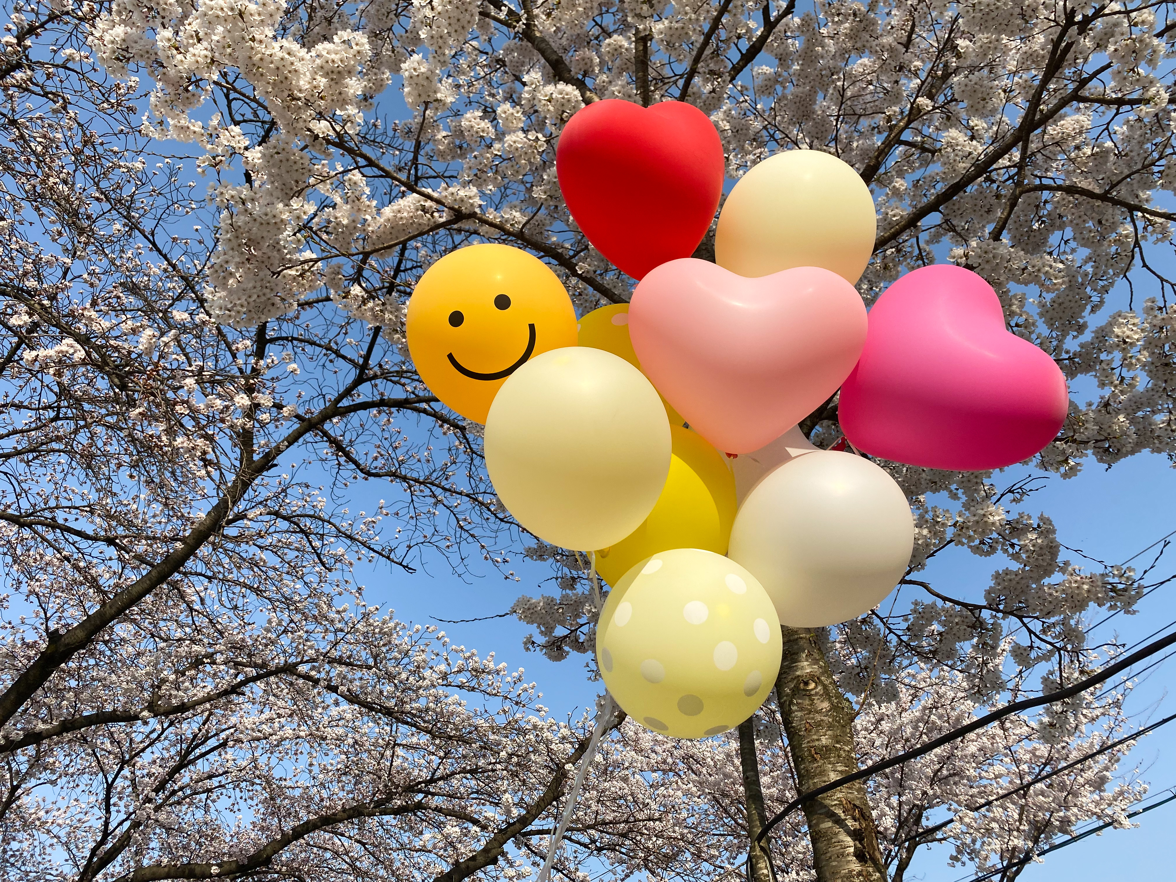 [�̺�Ʈ] ������ ǳ�� ���� �ٹ� ��Ʈ ���� ��Ƽ �߿� ��ũ�� ����ķ�� ��ǰ ���ϻ� �̺�Ʈ ����Կ�