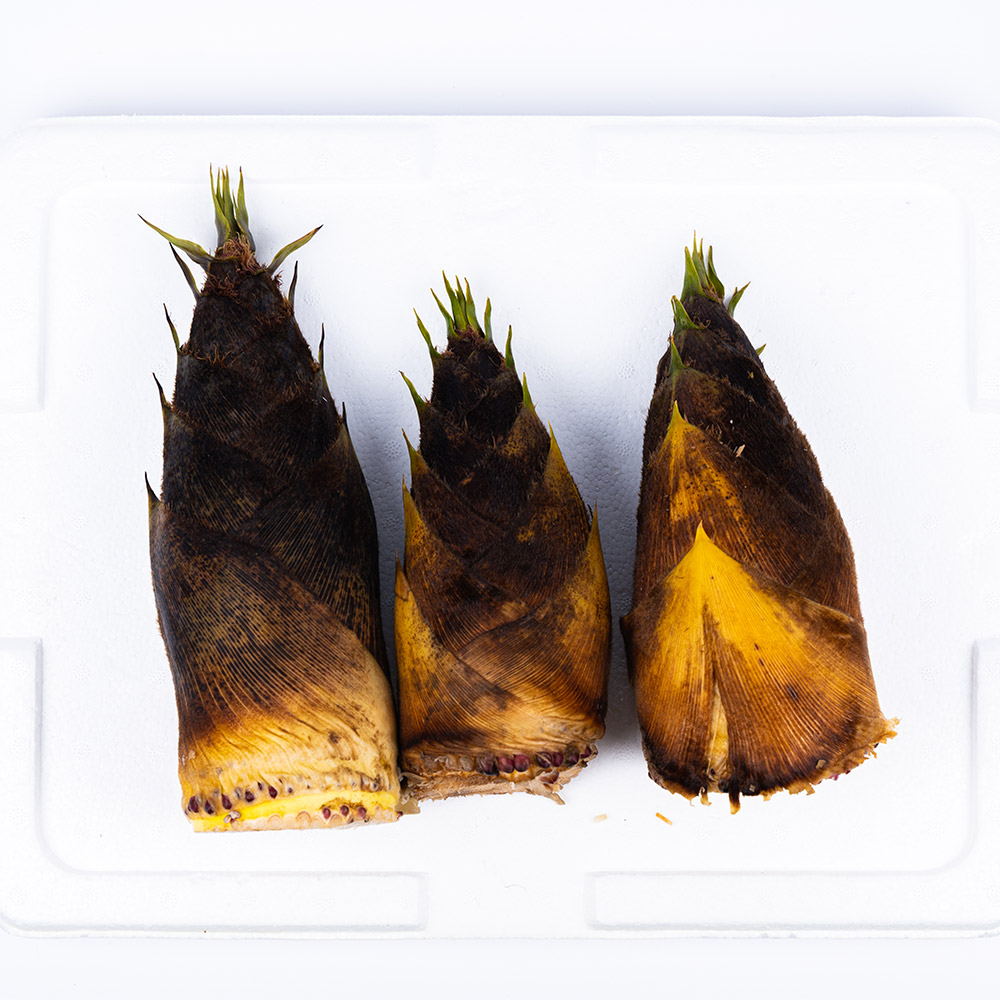 봄의 선물 국산 생죽순 3kg 깐죽숙 데친죽순 1kg - 상세 이미지 3