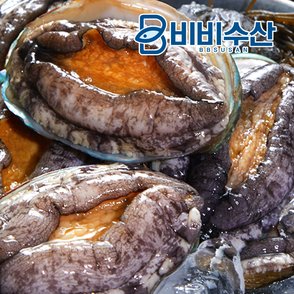 살아있는 완도 활전복 1kg 활 전복 - 상품 이미지