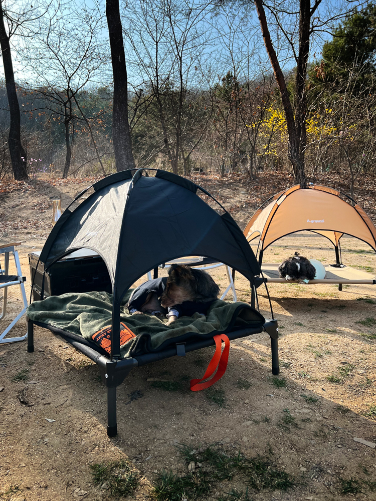 에이그라운드 베드독 탄색 단품 강아지 캠핑 의자 침대 텐트 고양이 애견 캠핑 용품