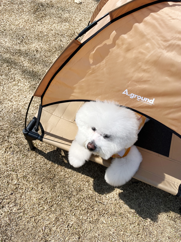 에이그라운드 베드독 탄색 단품 강아지 캠핑 의자 침대 텐트 고양이 애견 캠핑 용품