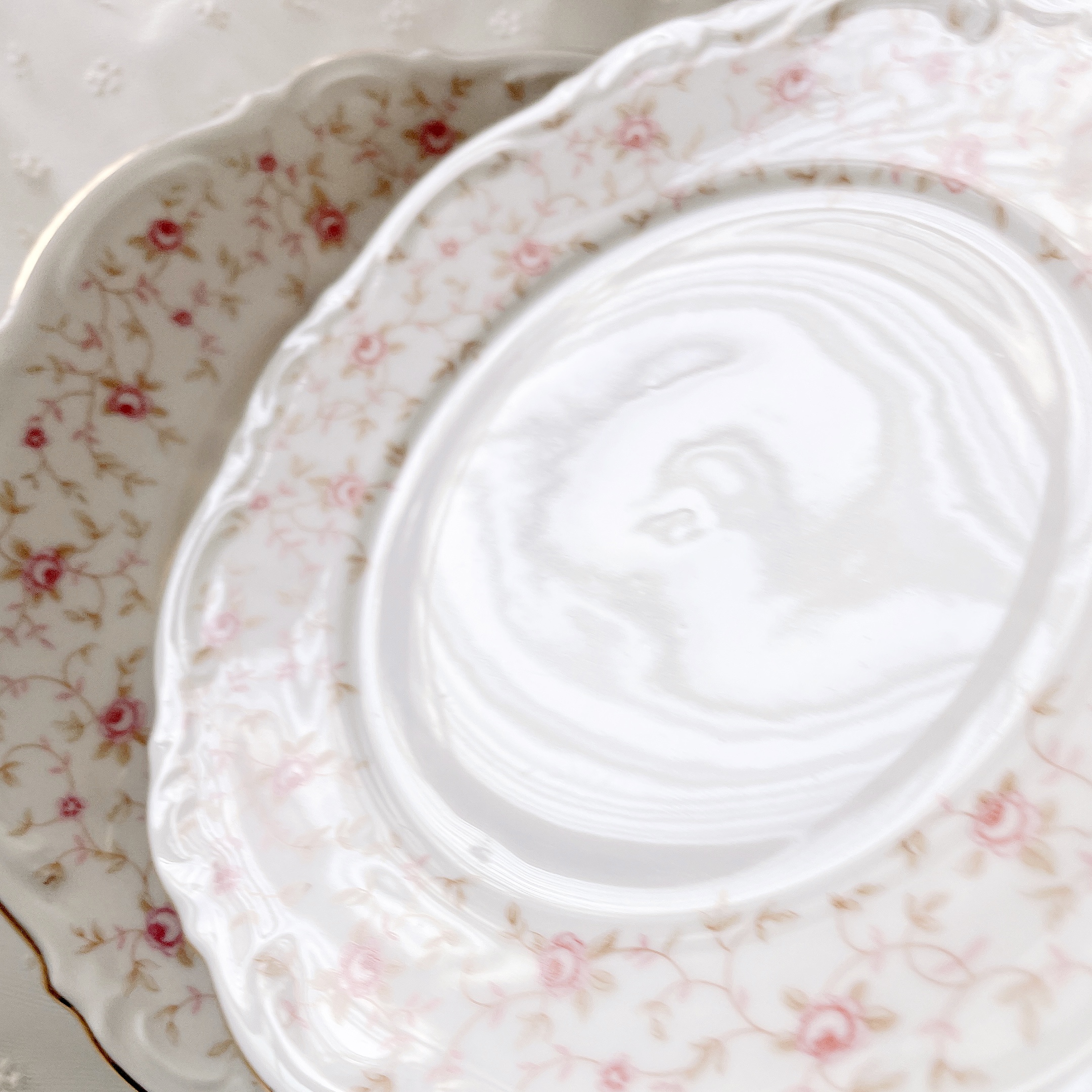 바바리아 로즈바인 앤틱접시 샐러드 플레이트 홈카페 빈티지그릇 이미지 6