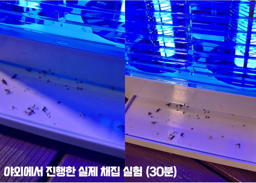 가정용 모기 퇴치기 전기 초파리 모기 잡는 기계 포충등 판매처 상세 정보 이미지 4