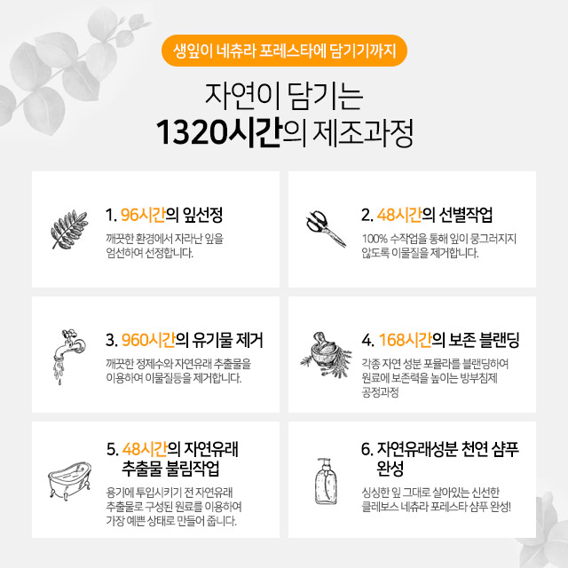 클레보스 천연 임산부샴푸 약산성 무실리콘 지루성 두피 샴푸 선물세트 - 상세 이미지 5