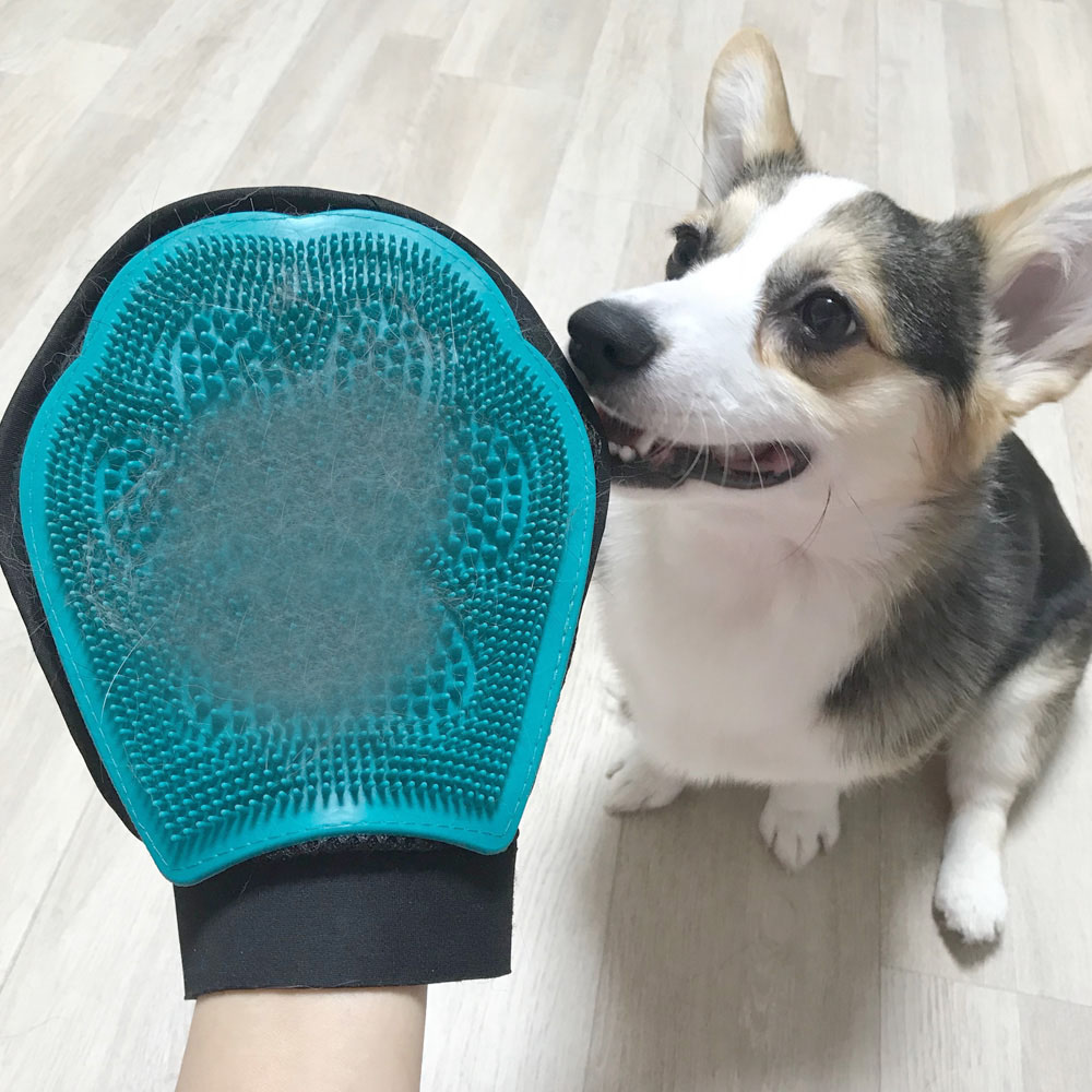고양이 털장갑 강아지 털관리 털제거 털갈이 - 상세 이미지 2