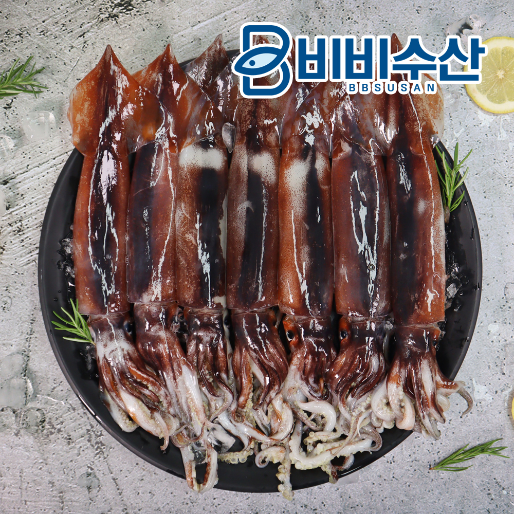 동해안 초코오징어 통찜오징어 손질법 구매팁