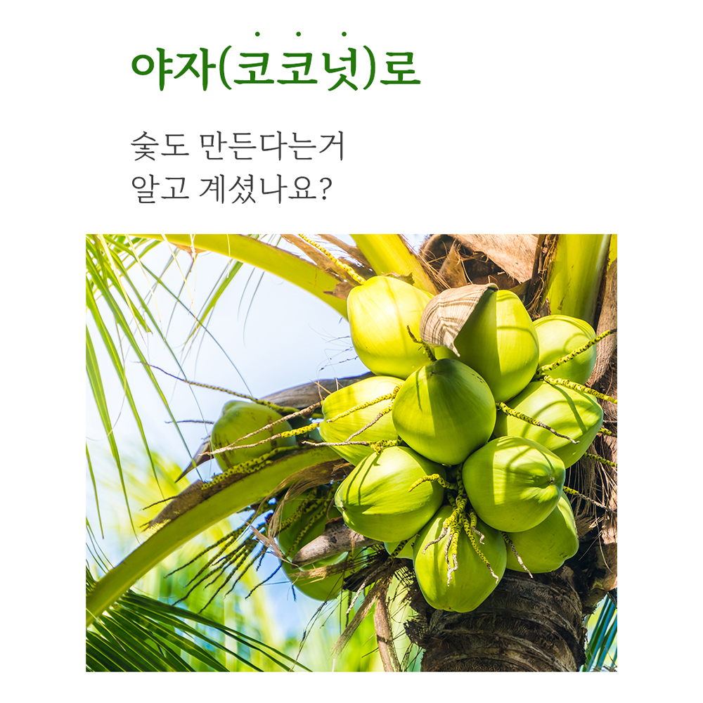 원콜바베큐 숯 혼합형 2kg 야자숯 캠핑 불멍 준비물 - 상세 이미지 2