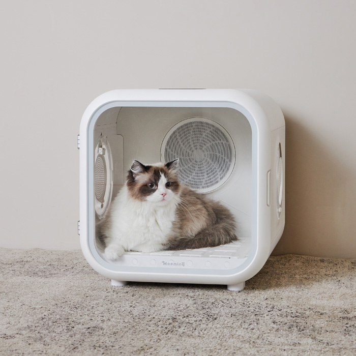 개과천선 애견 강아지 고양이 펫 드라이룸 목욕 드라이기 건조기 털말리기 소형견 7kg