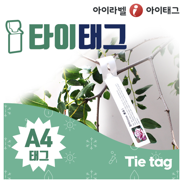 아이태그 흰색 방수 A4 식물이름표 화분이름표 수목명찰 수목표찰 나무이름표 비점착라벨 타이태그 / TLT0041WP / 50매 - 상세 이미지 5