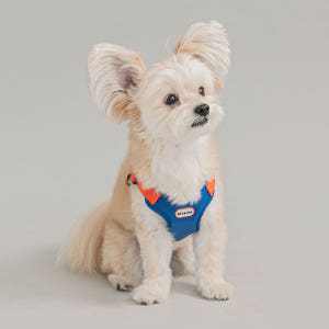 컴포트 강아지 하네스 핸즈프리 리쉬 리드줄 세트 S 솔직 후기 | 실제 사용자 리뷰 총정리 - 상품 이미지 2