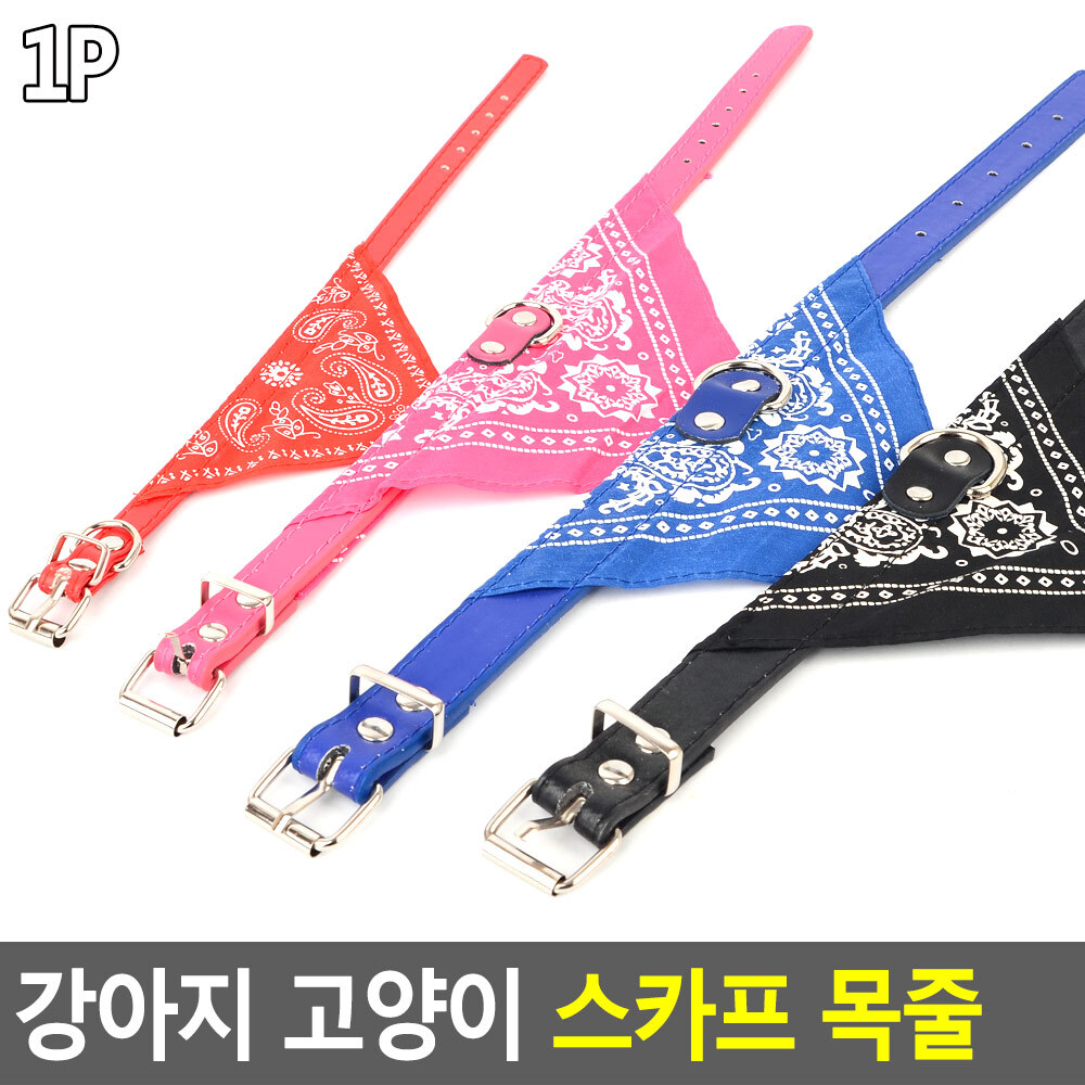 소형견목줄 말티즈 중형견 시바견 진돗개 반려견 목줄 - 상세 이미지 4