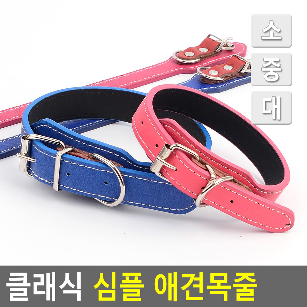 소형견 목줄 중형견 반려견 말티즈 포메 시바견 고리형 - 상세 이미지 4