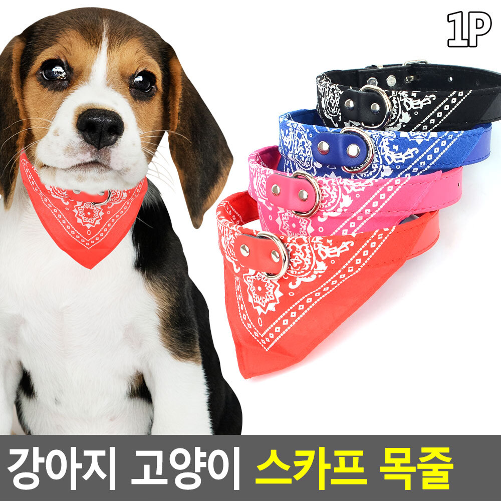 소형견목줄 말티즈 중형견 시바견 진돗개 반려견 목줄 - 상세 이미지 3