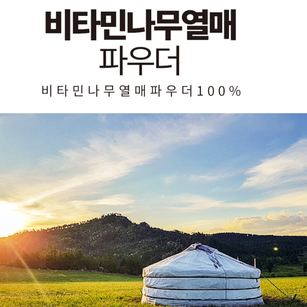 비타민 열매 가루 1kg 비타민 나무 효능 씨벅톤 시벅톤 시벅턴 - 상세 이미지 2
