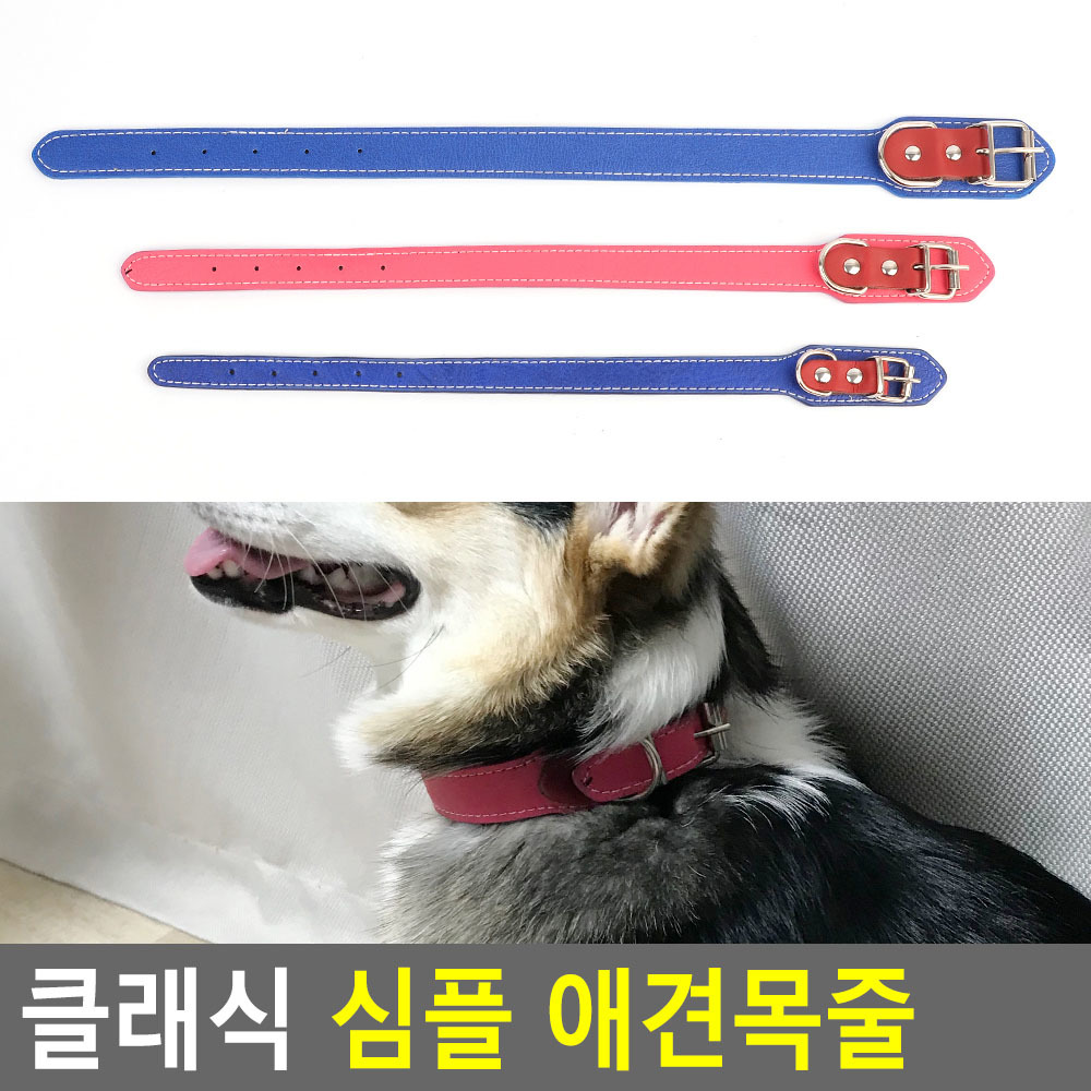 소형견 목줄 중형견 반려견 말티즈 포메 시바견 고리형 - 상세 이미지 3