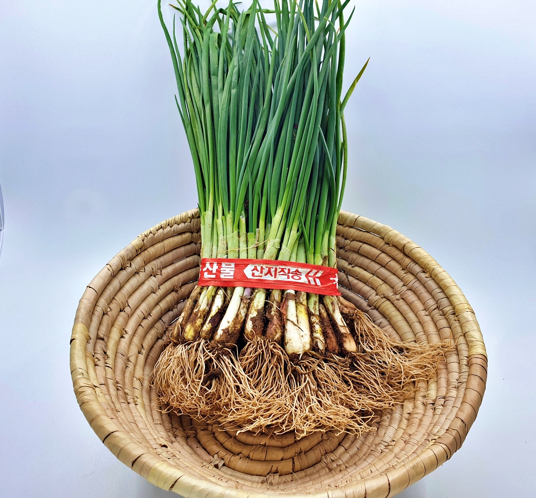 깐쪽파 흙쪽파 한단 제주도 전라남도 보성 국내산 1kg 한단 - 상세 이미지 5