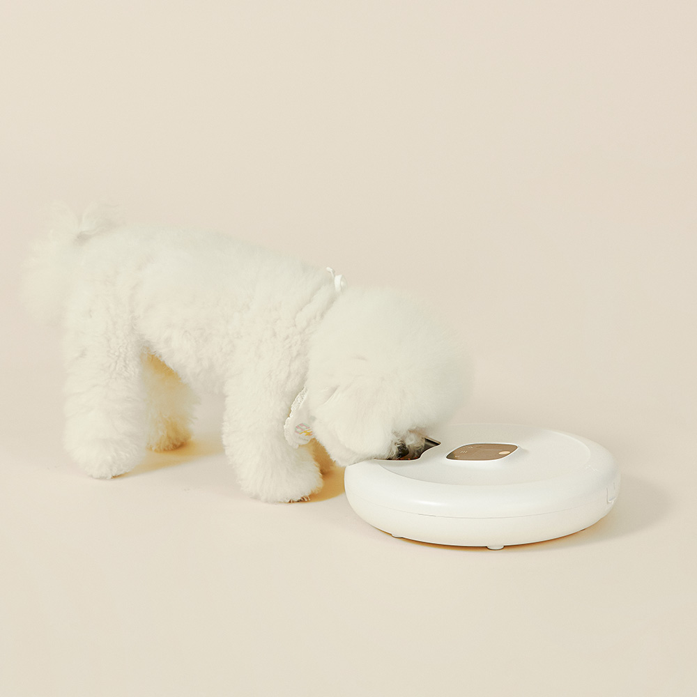 페페 강아지 고양이 6구 자동간식기 습식 화식 블루투스 분리세척 자동급식기 - 상세 이미지 3