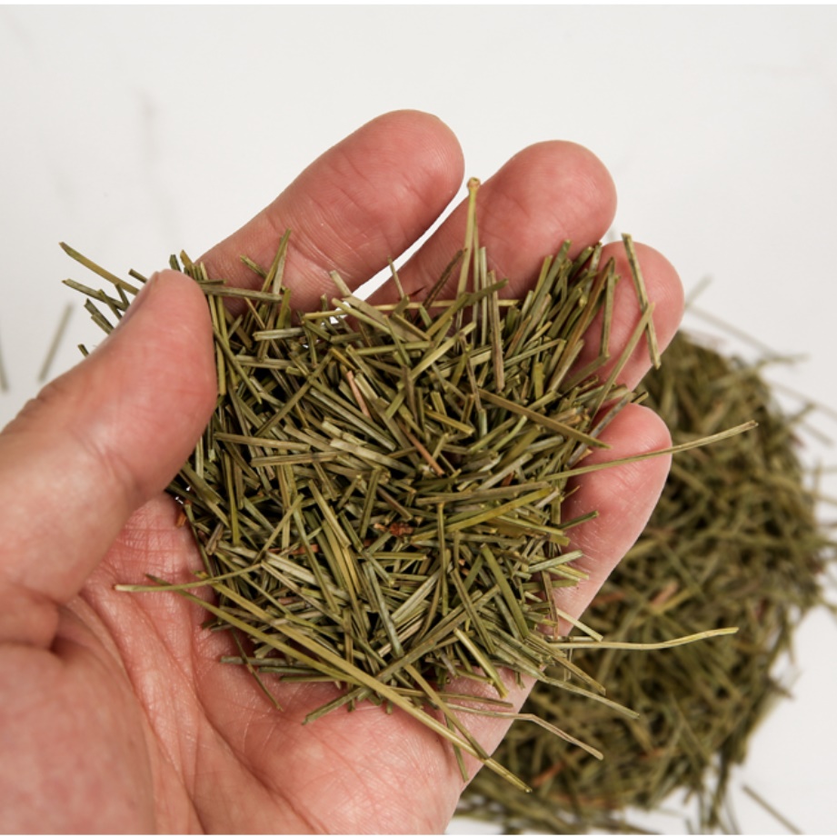 국내산 솔잎 500g 국산 생 솔잎 차 만들기 솔순 솔의 와송 눈 건재 말린 것 효과 제품 이미지