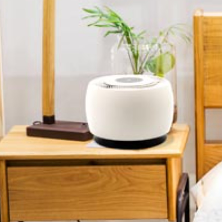 바이러스 케어 공기살균기 학교 사무실 사무실용 강아지 공기청정기