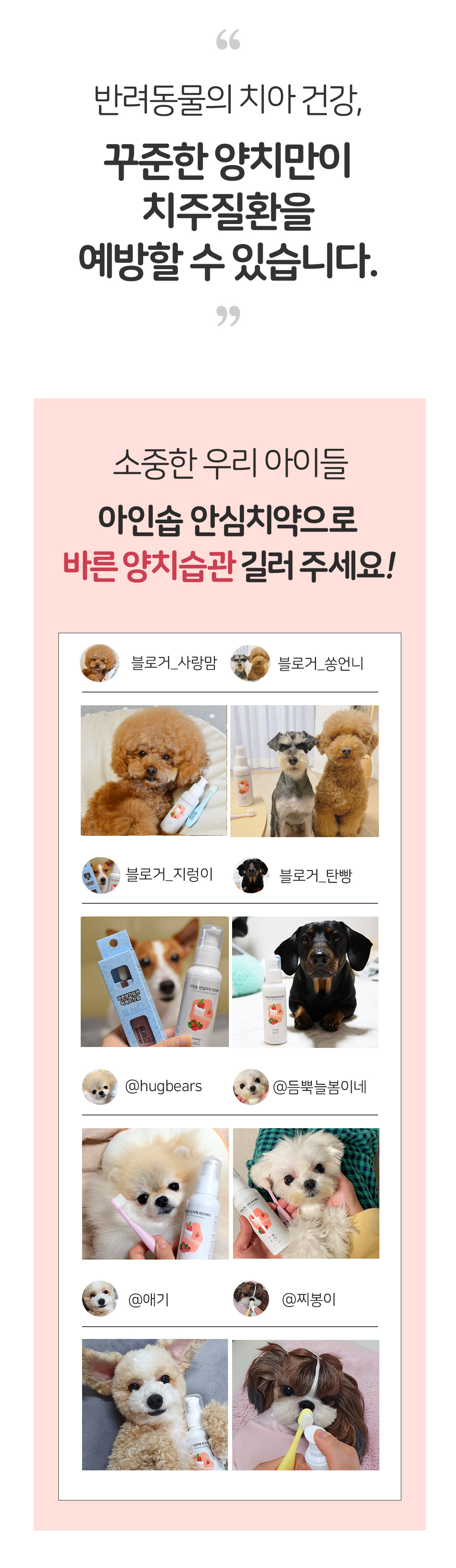 아인솝 강아지 고양이 애견 안심 충치 제거 딸기맛 치약 감태베리 이미지 4