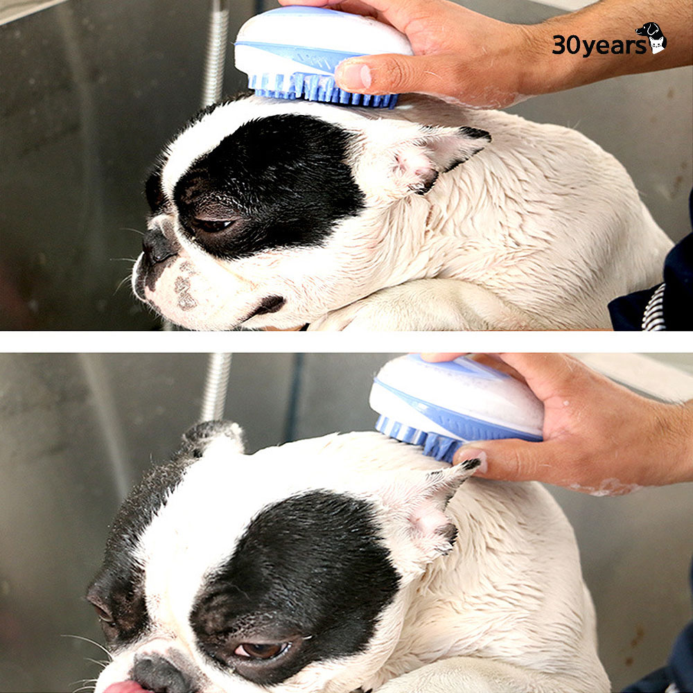 강아지 고양이 목욕솔 샤워브러쉬 샴푸브러쉬 실리콘빗 소프트형