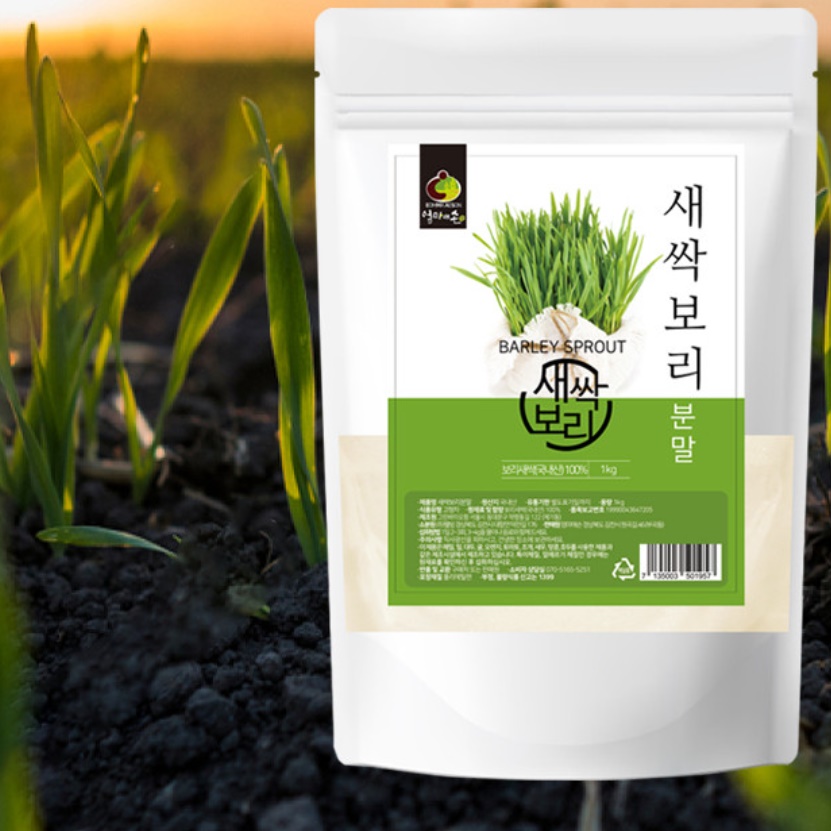 새싹 보리 효소 가루 1kg 효과 파우더 뿌리 분말 국내산 새싹보리효능 먹는 법 방법