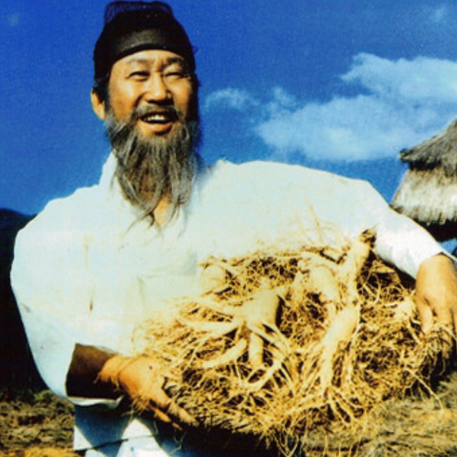 물안탄 100일 홍삼 진액 스틱 하루 6년근 홍삼 스틱 100포 - 상품 이미지