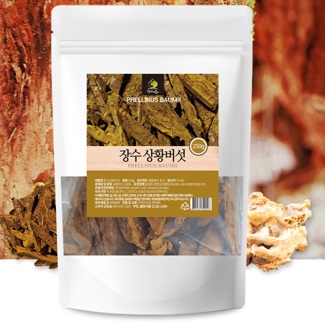 장수 상황버섯 건재 건물 말린 상황버섯 먹는 방법