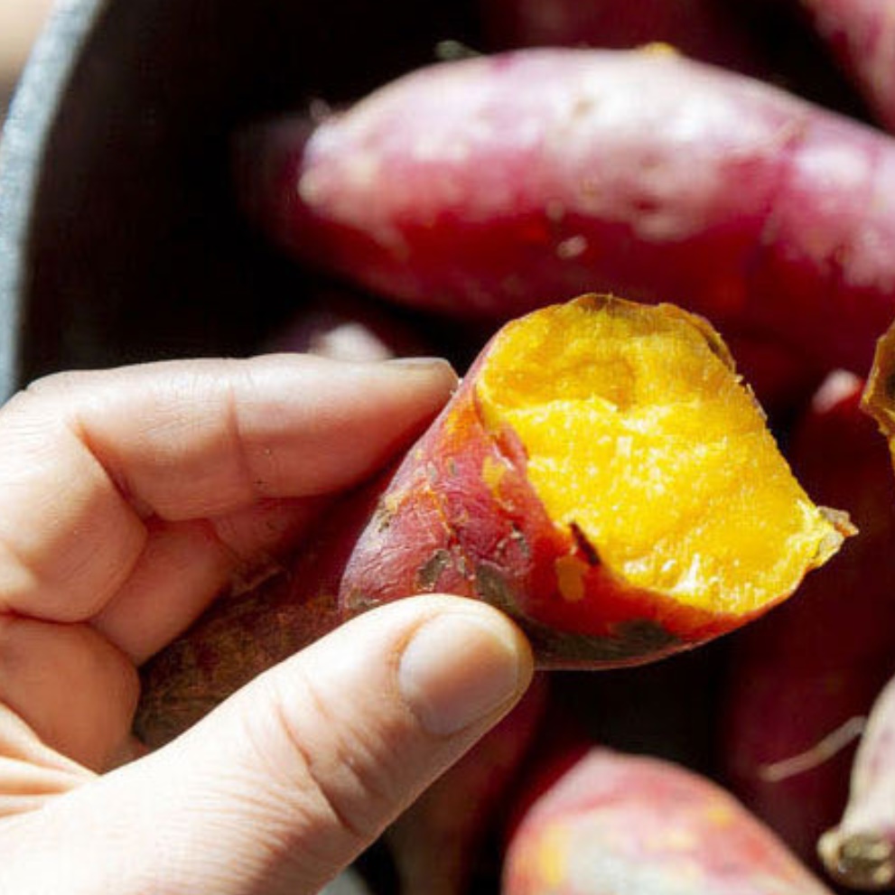 마사토 한입 고구마 해남 꿀고구마 황토 밤 고구마 2kg